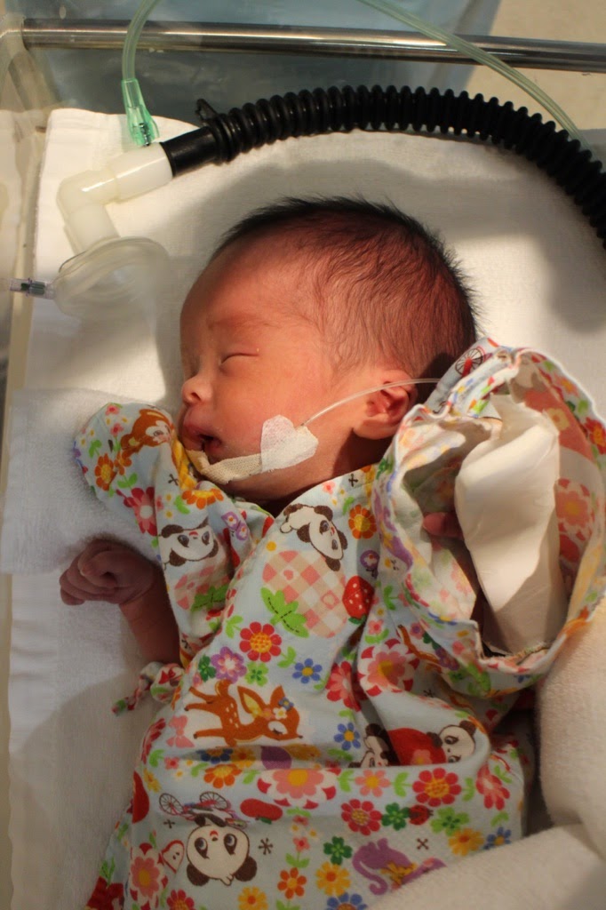 3303C539-171B-4C3A-BCEC-89EBF760EF0E